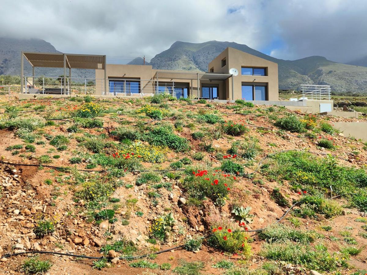 Olive And Aloe Villas Nomikianá Kültér fotó